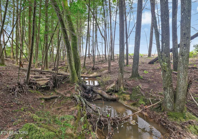 29th image of Dripping Springs Rd, Monterey, TN 38574 | MLS# 1349866