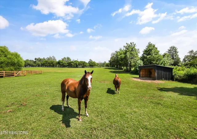 5th image of 7876 Hines Valley Rd Rd, Lenoir City, TN 37771 | MLS# 1350009