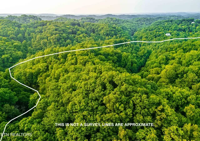 Photo 4 of Land for sale at 0 Long Branch Rd, Seymour, TN 37865 | MLS# 1349934 | Listing updated on 2026-09-23