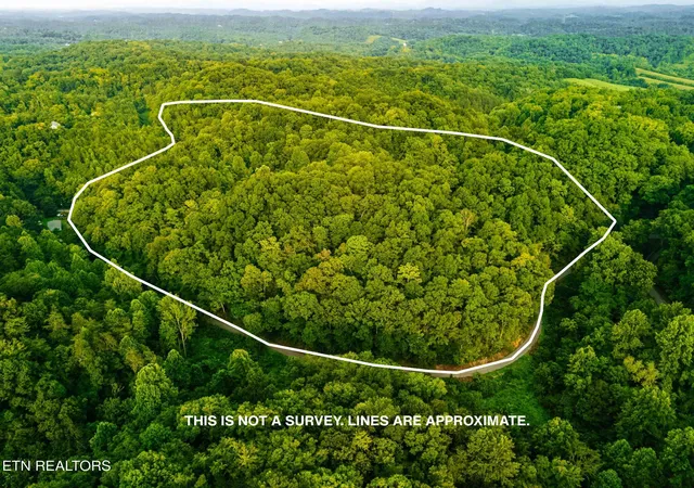 18th image of 0 Long Branch Rd, Seymour, TN 37865 | MLS# 1349934