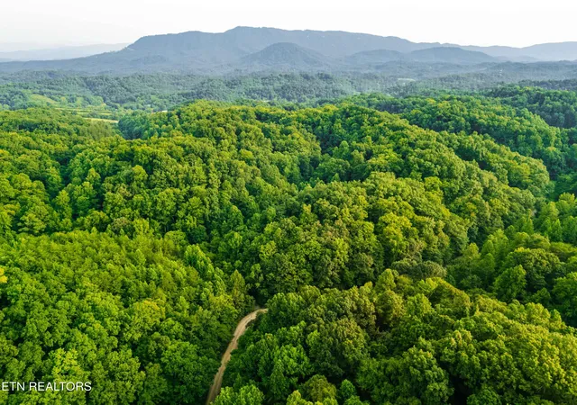 1st image of 0 Long Branch Rd, Seymour, TN 37865 | MLS# 1349934