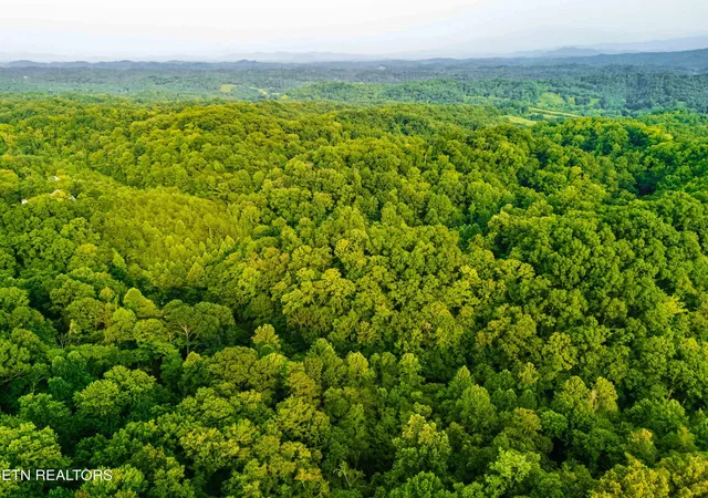 Photo 3 of Land for sale at 0 Long Branch Rd, Seymour, TN 37865 | MLS# 1349934 | Listing updated on 2026-09-23