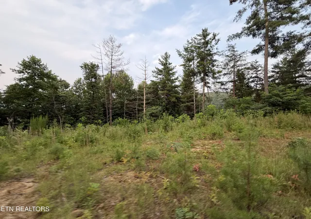 1st image of 3739 Green Corner Rd, Hartford, TN 37753 | MLS# 1349954