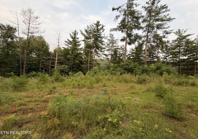 Photo 3 of Land for sale at 3739 Green Cor Rd, Hartford, TN 37753 | MLS# 1349954 | Listing updated on 2026-07-30