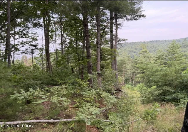 Photo 3 of Land for sale at 3739 Green Cor Rd, Hartford, TN 37753 | MLS# 1349954 | Listing updated on 2026-07-30