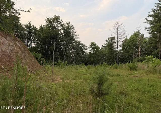 Photo 4 of Land for sale at 3739 Green Cor Rd, Hartford, TN 37753 | MLS# 1349954 | Listing updated on 2026-07-30