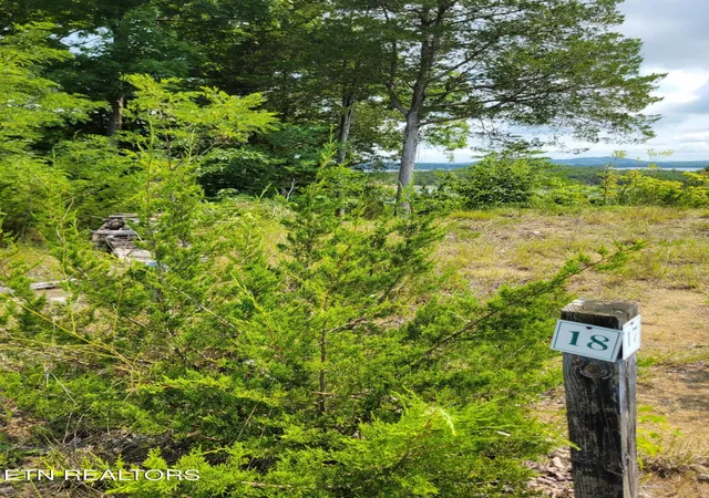 Photo 2 of Land for sale at Bay View Point, Sevierville, TN 37876 | MLS# 1349955 | Listing updated on 2026-09-09