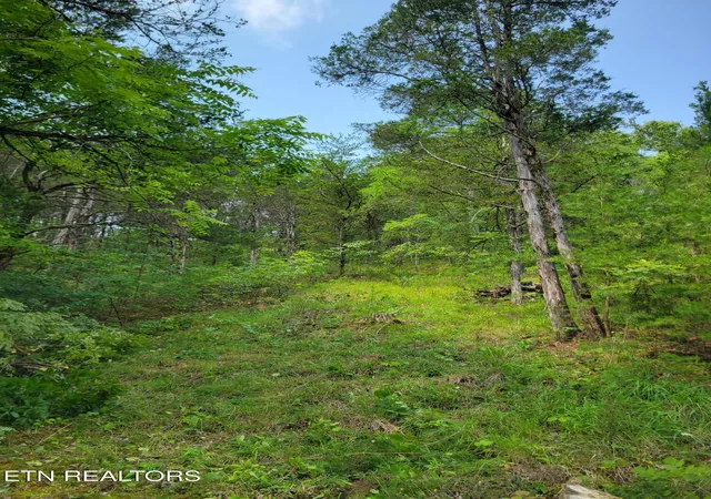 Photo 3 of Land for sale at Bay View Point, Sevierville, TN 37876 | MLS# 1349955 | Listing updated on 2026-09-09