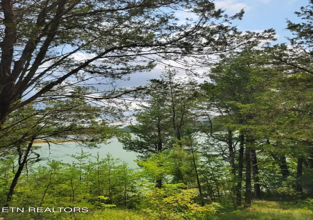 Photo 3 of Land for sale at Bay View Point, Sevierville, TN 37876 | MLS# 1349955 | Listing updated on 2026-09-09