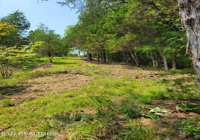 Photo 4 of Land for sale at Bay View Point, Sevierville, TN 37876 | MLS# 1349955 | Listing updated on 2026-09-09