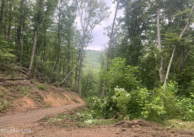 Photo 1 of Land for sale at 0 Happy Holw Rd #0, Sevierville, TN 37862 | MLS# 1350154 | Listing updated on 2026-09-18