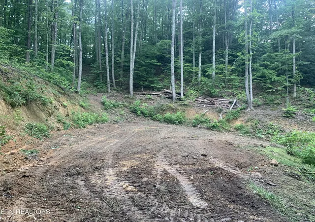 Photo 3 of Land for sale at 0 Happy Holw Rd #0, Sevierville, TN 37862 | MLS# 1350154 | Listing updated on 2026-09-18