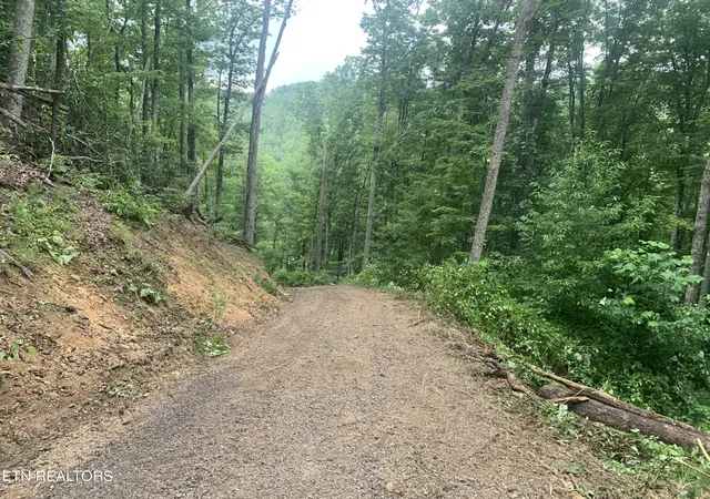 Photo 3 of Land for sale at 0 Happy Holw Rd #0, Sevierville, TN 37862 | MLS# 1350154 | Listing updated on 2026-09-18
