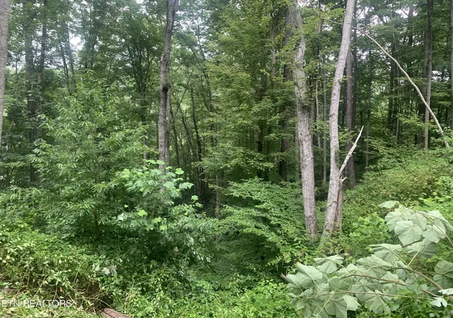 Photo 4 of Land for sale at 0 Happy Holw Rd #0, Sevierville, TN 37862 | MLS# 1350154 | Listing updated on 2026-09-18