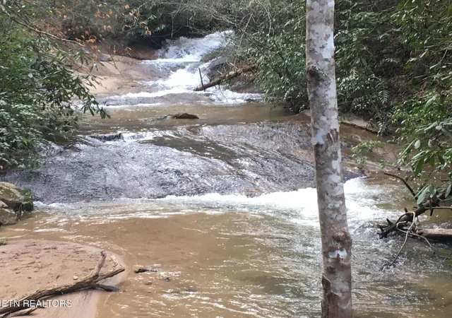 43rd image of 2606 Bear Crossing Wy, Sevierville, TN 37862 | MLS# 1350323