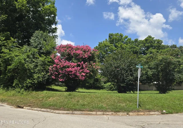image of Rayder Ave Ave, Loudon, TN 37774 | MLS# 1350241