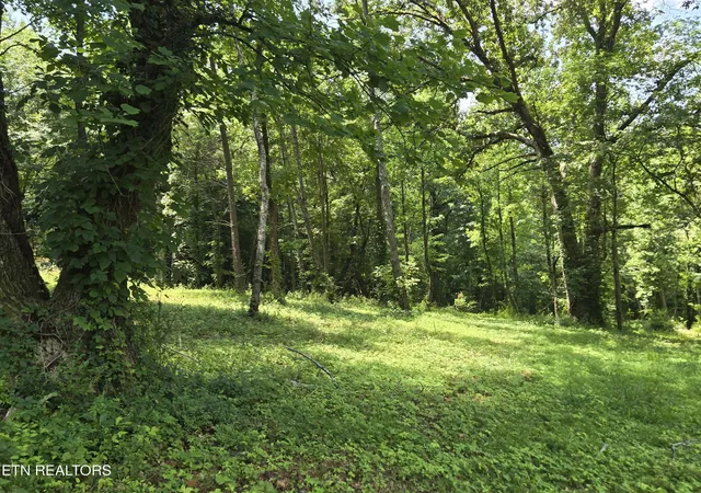 2nd image of 511 Harper St St, Loudon, TN 37774 | MLS# 1350237