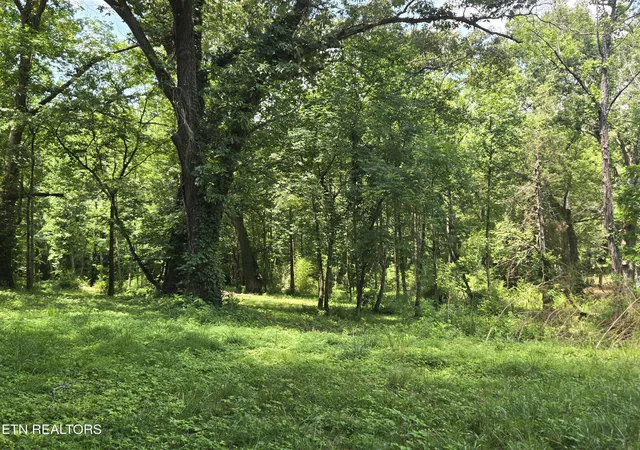 5th image of 511 Harper St St, Loudon, TN 37774 | MLS# 1350237