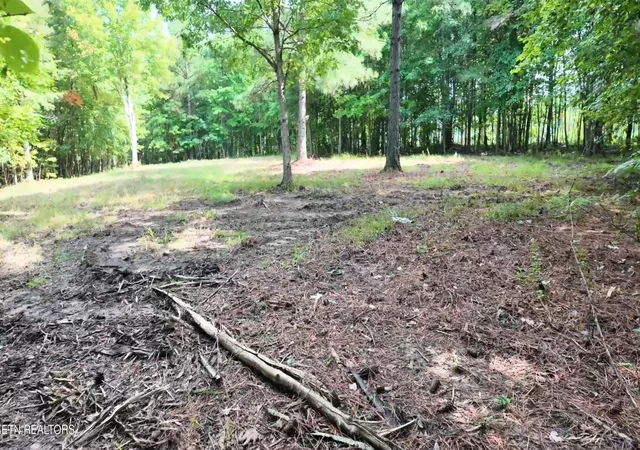 Photo 3 of Land for sale at Lot 50 Topside Dr, Spencer, TN 38585 | MLS# 1350086 | Listing updated on 2026-08-03