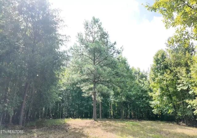 Photo 3 of Land for sale at Lot 50 Topside Dr, Spencer, TN 38585 | MLS# 1350086 | Listing updated on 2026-08-03