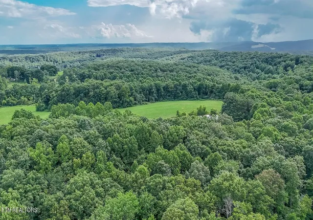 3rd image of 237 Chestnut Ridge Rd, Spring City, TN 37381 | MLS# 1350293