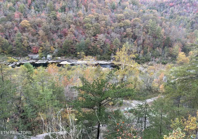 11th image of 1478 Catoosa Rd, Wartburg, TN 37887 | MLS# 1350376