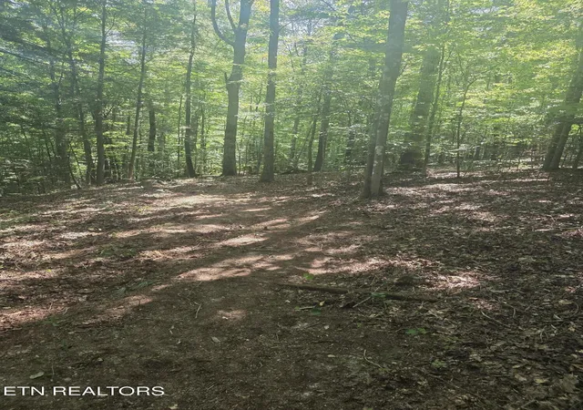 5th image of 1478 Catoosa Rd, Wartburg, TN 37887 | MLS# 1350376