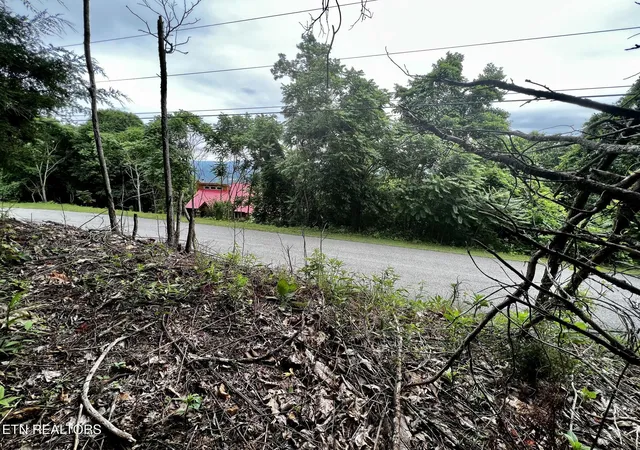 3rd image of Lot 212 Clinch View Rd, New Tazewell, TN 37825 | MLS# 1350335