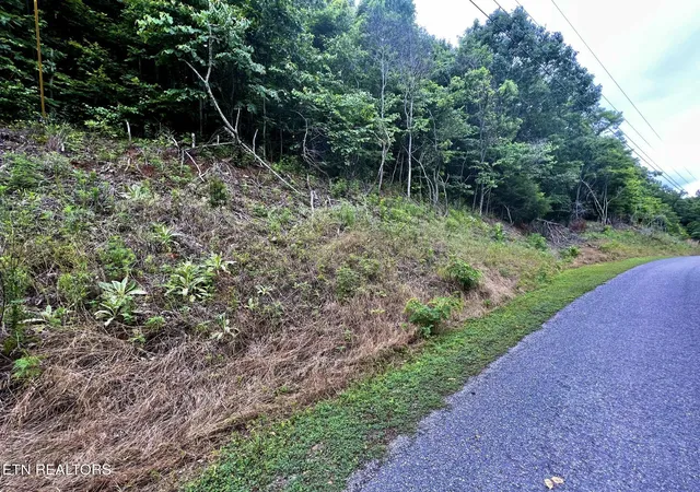 5th image of Lot 212 Clinch View Rd, New Tazewell, TN 37825 | MLS# 1350335