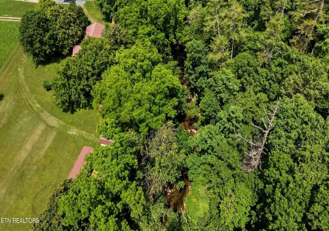 52nd image of 4124 Big Creek Rd, Hartford, TN 37753 | MLS# 1350125