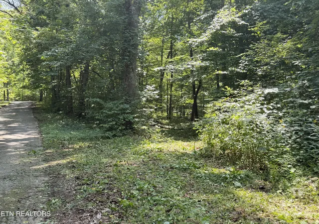 2nd image of 743 Charles Young Rd, Walland, TN 37886 | MLS# 1350318