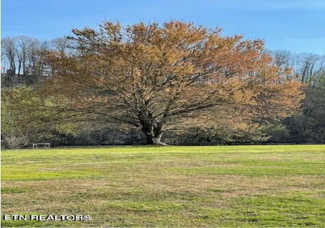 Photo 4 of Sale Pending at 0 Holston Shrs Dr, Rutledge, TN 37861 | MLS# 1350139 | Listing updated on 2026-09-07