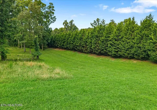 3rd image of 421 Waterfront Wy, Spring City, TN 37381 | MLS# 1350217