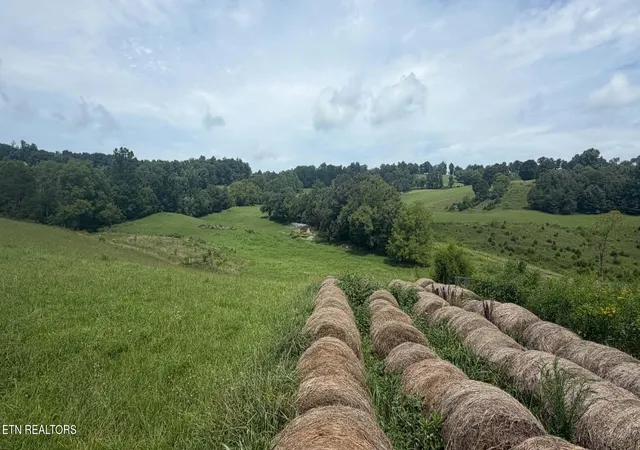 Photo 22 of Land for sale at 00 Mulberry Gap Rd, Sneedville, TN 37869 | MLS# 1350384 | Listing updated on 2026-08-11