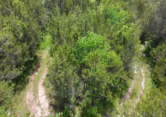 Photo 2 of Land for sale at 00 Mulberry Gap Rd, Sneedville, TN 37869 | MLS# 1350384 | Listing updated on 2026-08-11