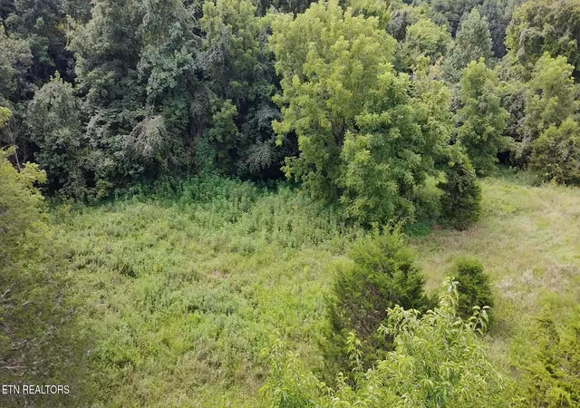 Photo 2 of Land for sale at 00 Mulberry Gap Rd, Sneedville, TN 37869 | MLS# 1350384 | Listing updated on 2026-08-11