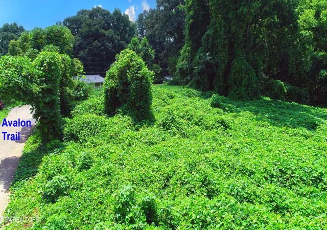 Photo 2 of Land for sale at 0 Avalon Tr, Knoxville, TN 37920 | MLS# 1350267 | Listing updated on 2026-07-31