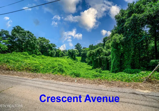 Photo 3 of Land for sale at 0 Avalon Tr, Knoxville, TN 37920 | MLS# 1350267 | Listing updated on 2026-07-31