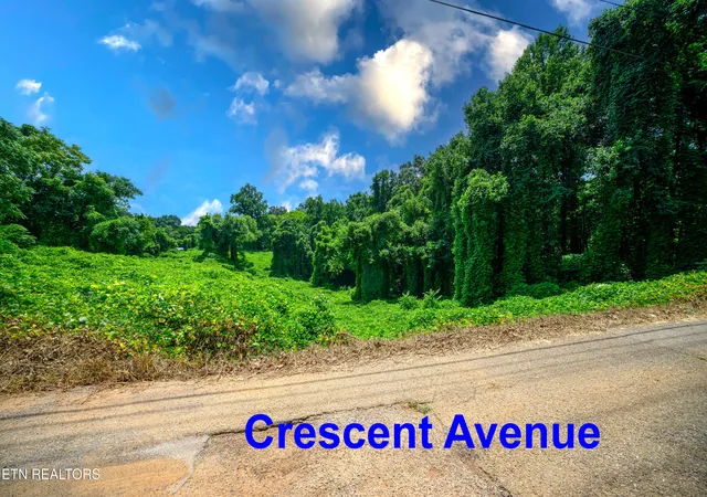 Photo 4 of Land for sale at 0 Avalon Tr, Knoxville, TN 37920 | MLS# 1350267 | Listing updated on 2026-07-31
