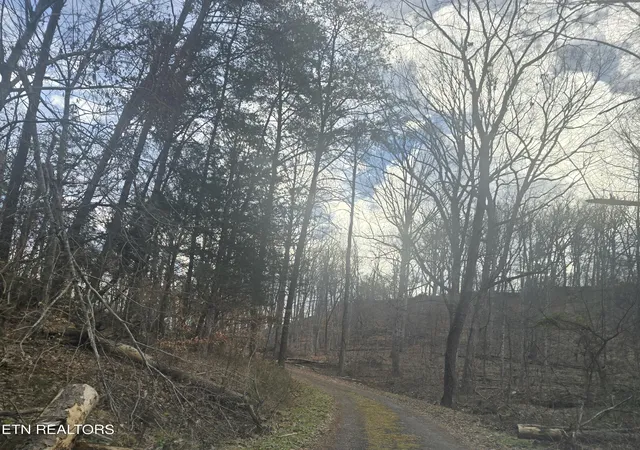 20th image of 120 Johnson Rd, Mooresburg, TN 37811 | MLS# 1350347