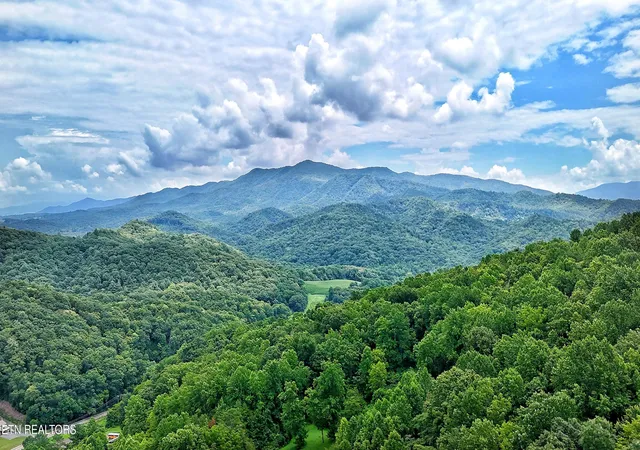 14th image of Lot 50 S Hwy 340, Parrottsville, TN 37843 | MLS# 1350309