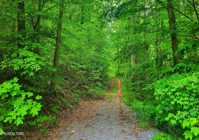 4th image of Lot 50 S Hwy 340, Parrottsville, TN 37843 | MLS# 1350309