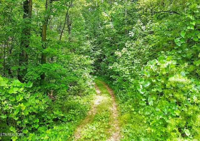 5th image of Lot 50 S Hwy 340, Parrottsville, TN 37843 | MLS# 1350309