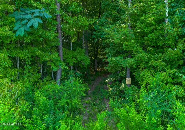 4th image of 210 Dogtown Rd, Ten Mile, TN 37880 | MLS# 1350352