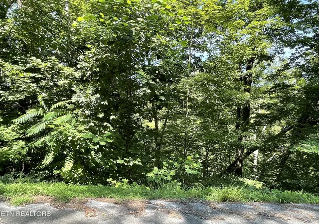 Photo 2 of Land for sale at Lot 926 Stoneway Ct, White Pine, TN 37890 | MLS# 1350357 | Listing updated on 2026-08-01