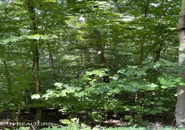 Photo 4 of Land for sale at Lot 926 Stoneway Ct, White Pine, TN 37890 | MLS# 1350357 | Listing updated on 2026-08-01