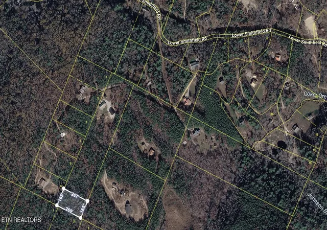 13th image of Lower Smithfield Rd, Tellico Plains, TN 37385 | MLS# 1350423