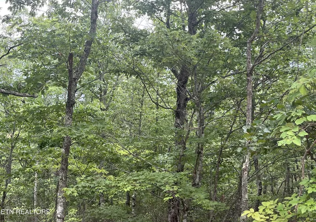 2nd image of Lower Smithfield Rd, Tellico Plains, TN 37385 | MLS# 1350423