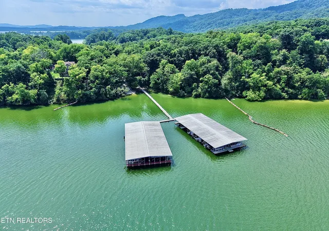 52nd image of 403 Chelaque Wy, Mooresburg, TN 37811 | MLS# 1350390