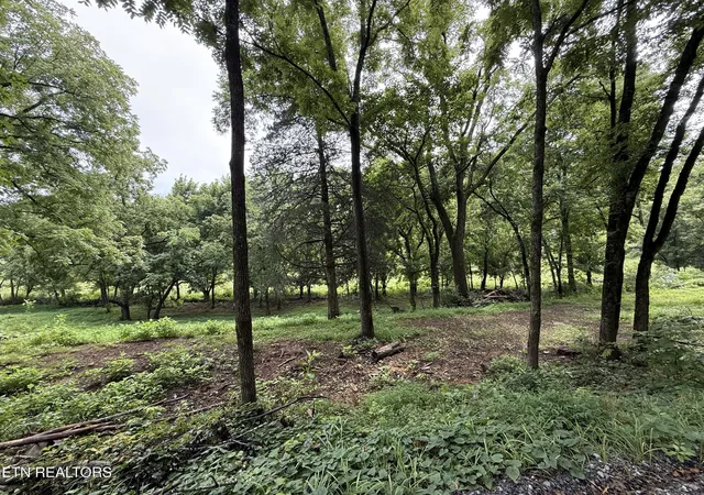 Photo 1 of Sale Pending at Lot 1 Mitchell Rd, New Market, TN 37820 | MLS# 1350415 | Listing updated on 2026-08-03